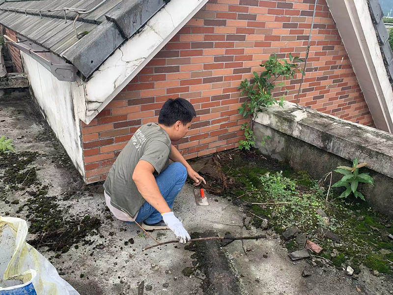 樓頂花園改造臥室效果怎樣？